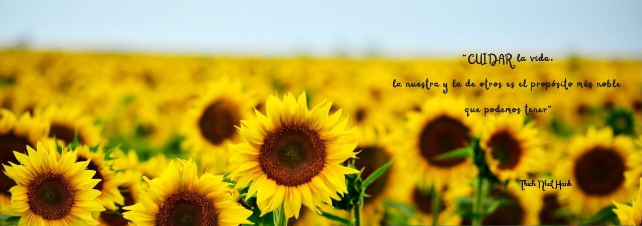 Contenido Multimedia