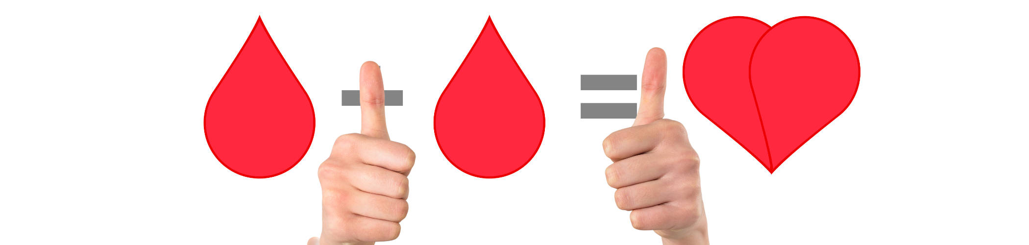 Contenido Multimedia