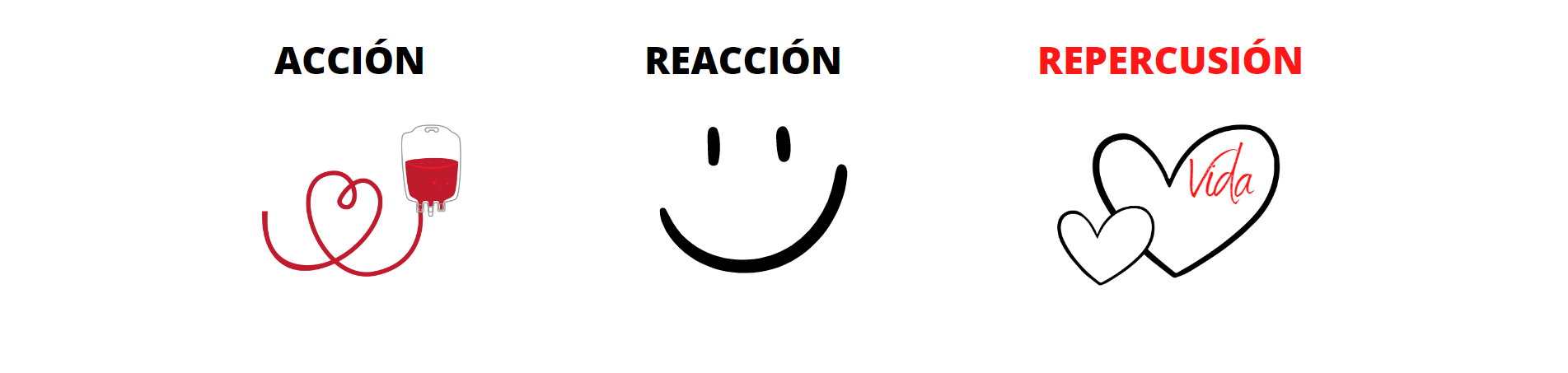 Contenido Multimedia