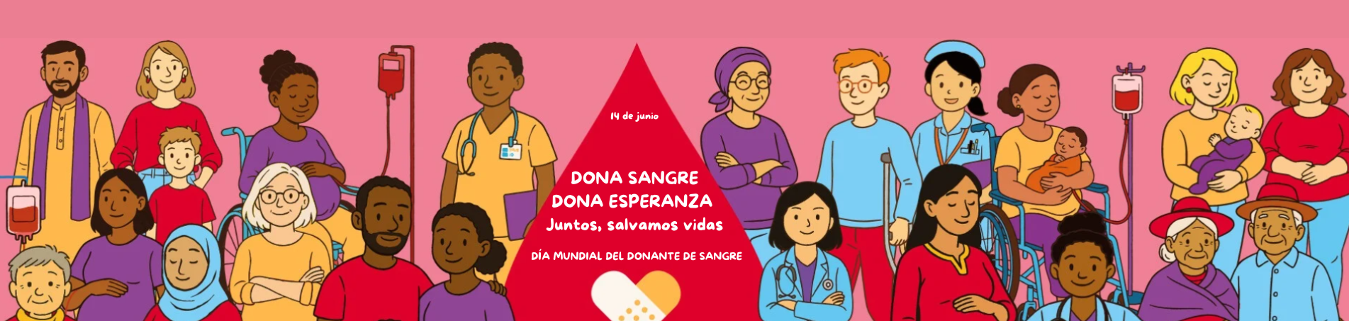 Contenido Multimedia