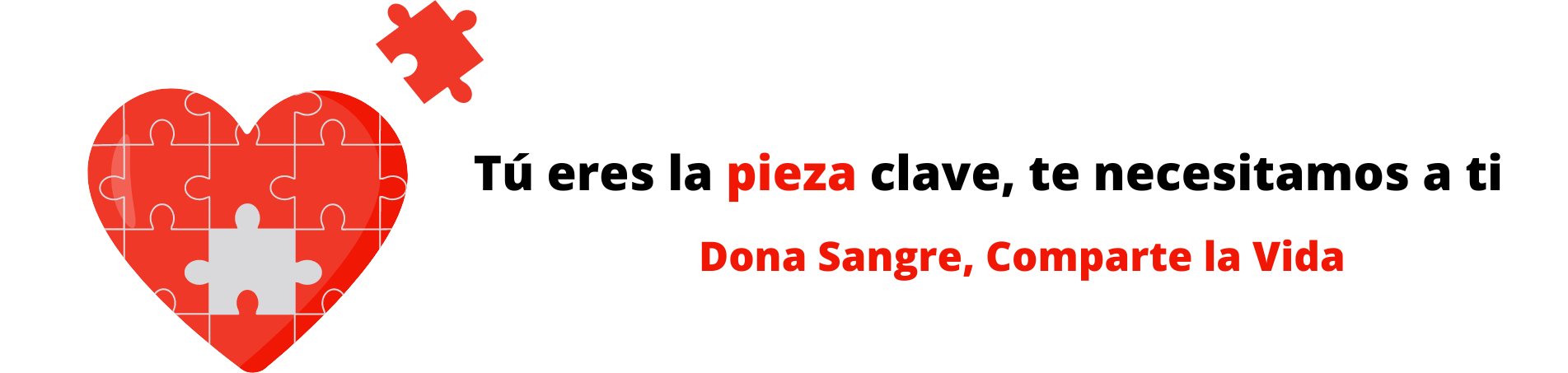 Contenido Multimedia Pieza clave