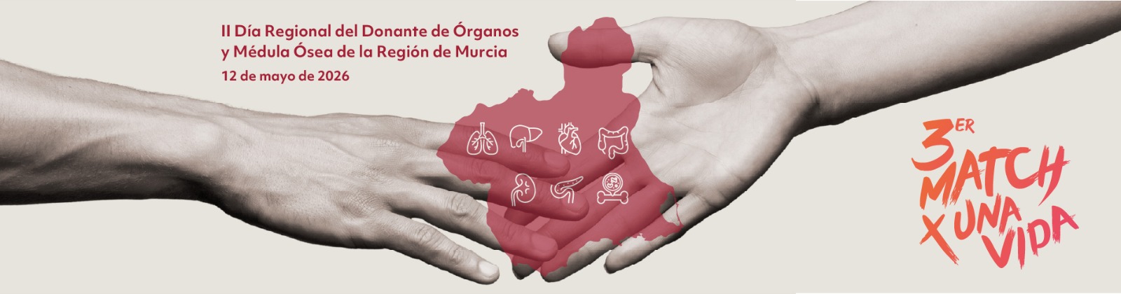 Contenido Multimedia