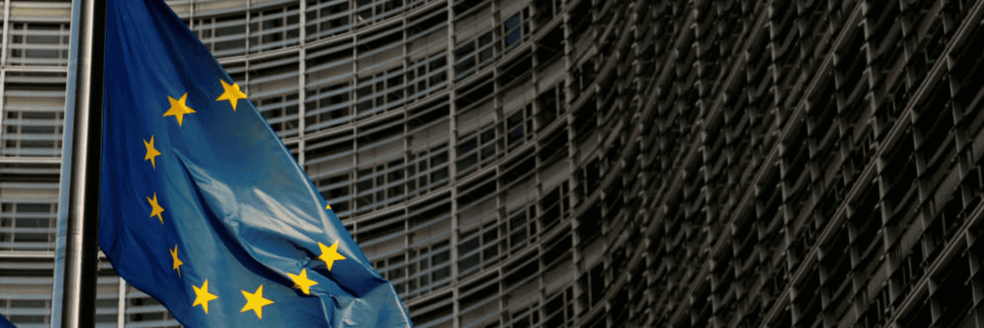 Imagen con la bandera de la Unión Europea