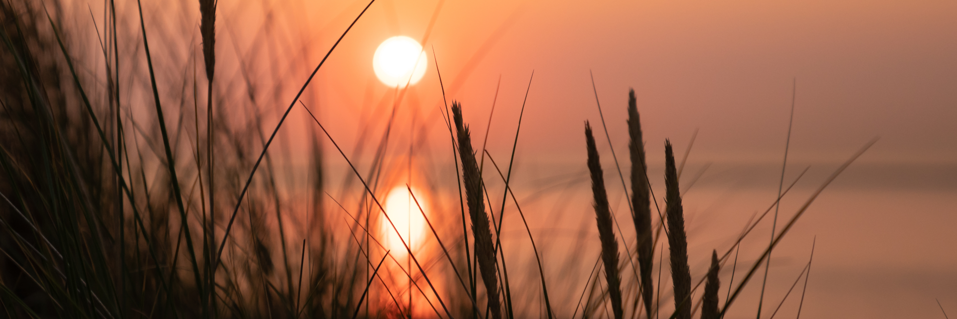 Contenido Multimedia