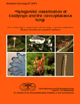 Studies in mycology