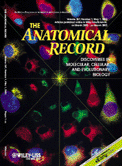 The anatomical record