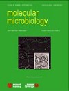 Molecular microbiology